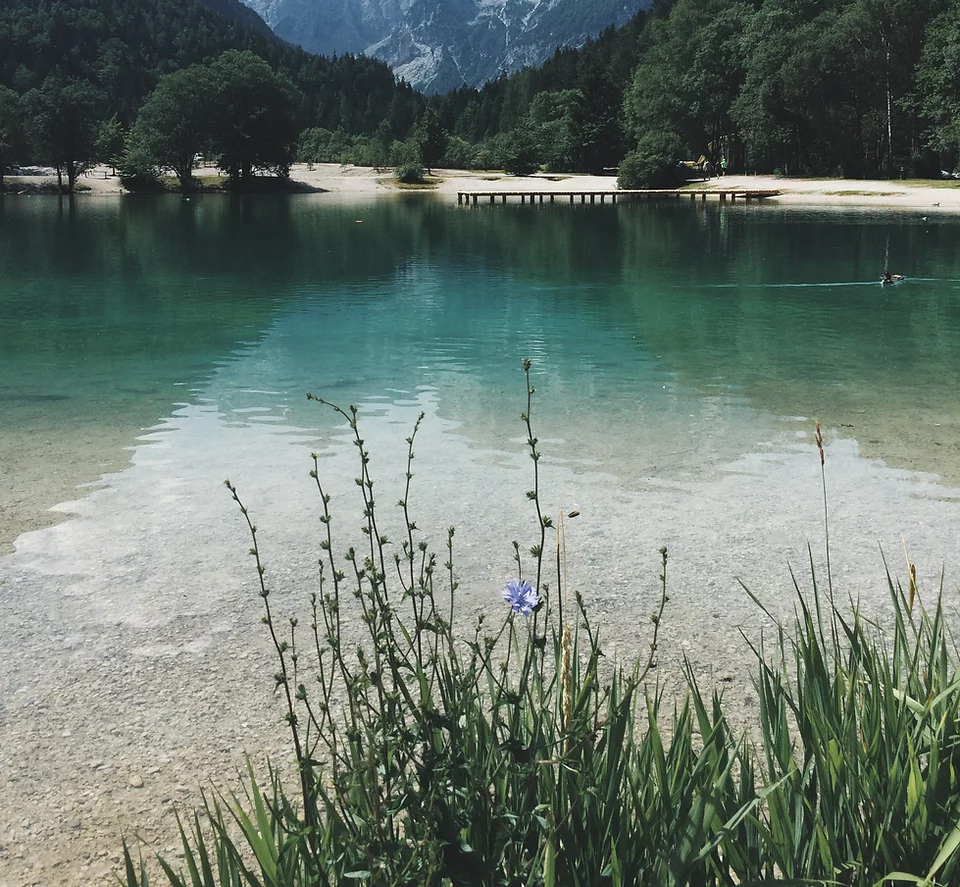 ОТКАЧКА ВОДЫ